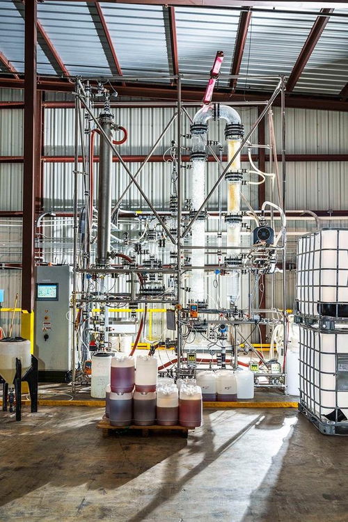 从肿瘤到工厂 酶的革命性应用与负碳制造新纪元